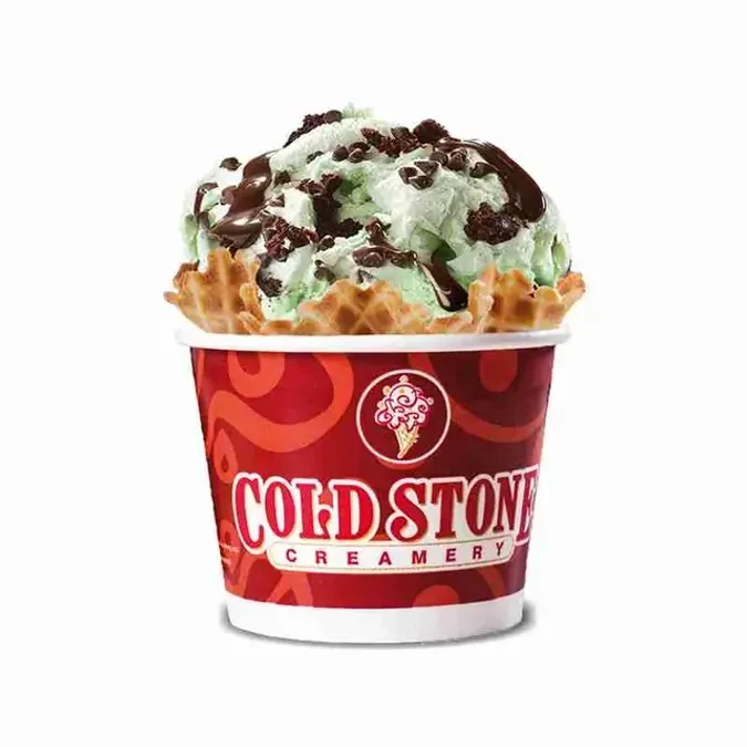 MINT MINT CHOCOLATE CHOCOLATE CHIP