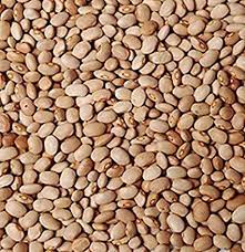 Olo drum beans