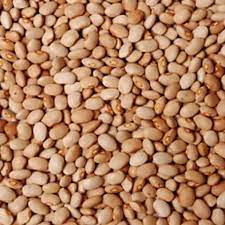 Oloyin beans Derica